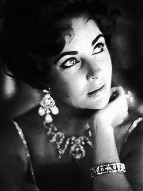 Niki Caister: Chartered accountant and founding director of the company in 2005, previously a partner at Cooper Parry in Corporate Finance and before that a senior auditor. Yawn….